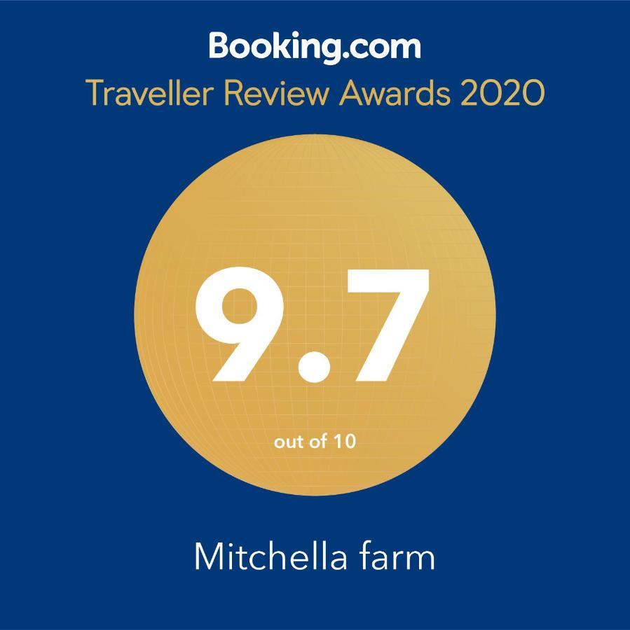 Mitchella Farm Apartment วานากา ภายนอก รูปภาพ